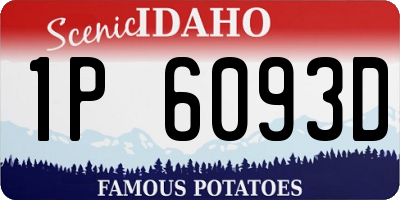 ID license plate 1P6093D