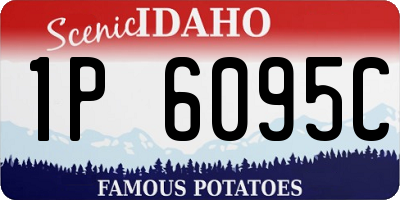 ID license plate 1P6095C