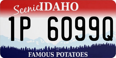 ID license plate 1P6099Q