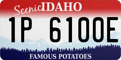 ID license plate 1P6100E