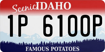 ID license plate 1P6100P
