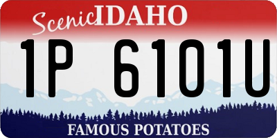 ID license plate 1P6101U