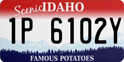 ID license plate 1P6102Y