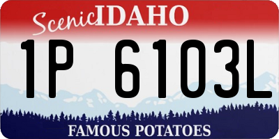 ID license plate 1P6103L