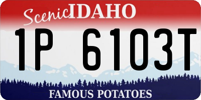 ID license plate 1P6103T