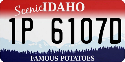 ID license plate 1P6107D