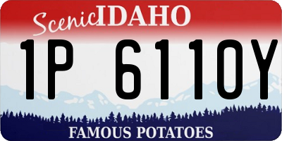 ID license plate 1P6110Y