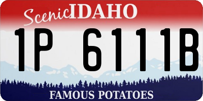 ID license plate 1P6111B