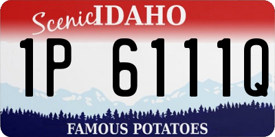 ID license plate 1P6111Q