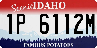 ID license plate 1P6112M