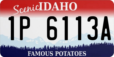 ID license plate 1P6113A