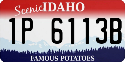 ID license plate 1P6113B
