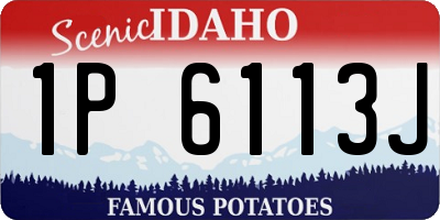 ID license plate 1P6113J
