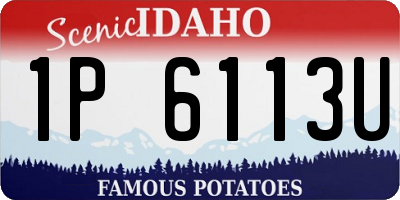 ID license plate 1P6113U