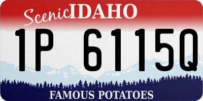ID license plate 1P6115Q