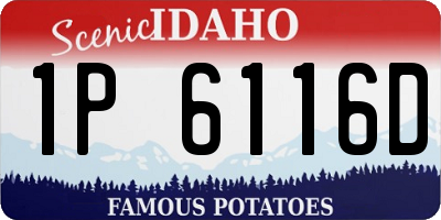 ID license plate 1P6116D