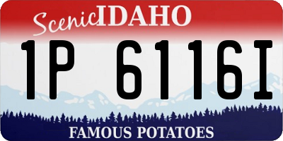 ID license plate 1P6116I