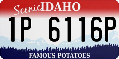 ID license plate 1P6116P