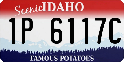 ID license plate 1P6117C