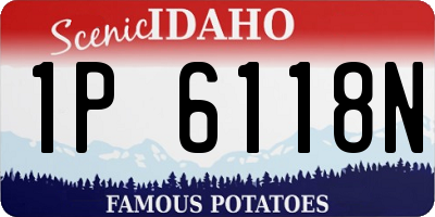 ID license plate 1P6118N