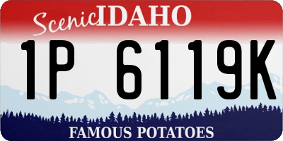 ID license plate 1P6119K