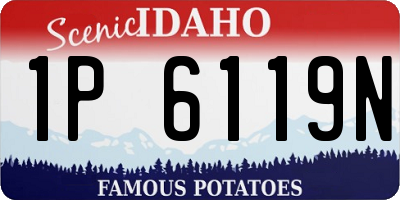 ID license plate 1P6119N