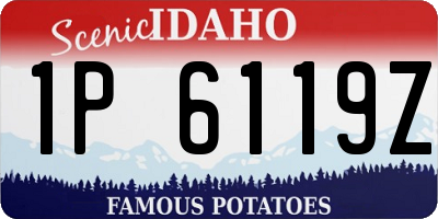 ID license plate 1P6119Z