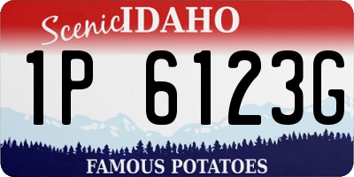 ID license plate 1P6123G