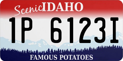 ID license plate 1P6123I