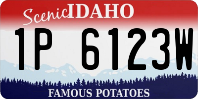 ID license plate 1P6123W