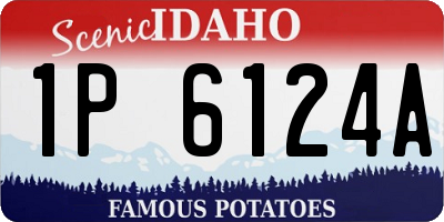 ID license plate 1P6124A