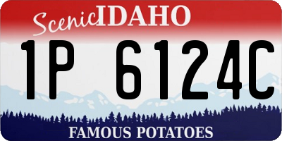 ID license plate 1P6124C