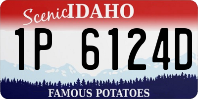 ID license plate 1P6124D