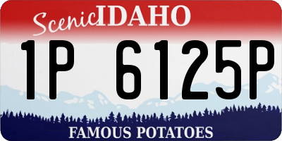 ID license plate 1P6125P