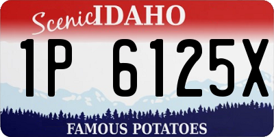 ID license plate 1P6125X