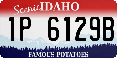 ID license plate 1P6129B