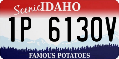 ID license plate 1P6130V