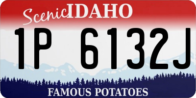 ID license plate 1P6132J