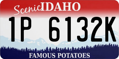 ID license plate 1P6132K