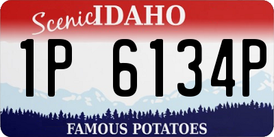 ID license plate 1P6134P