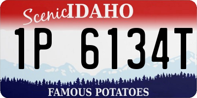 ID license plate 1P6134T