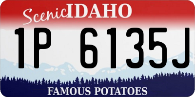 ID license plate 1P6135J