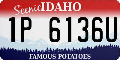 ID license plate 1P6136U
