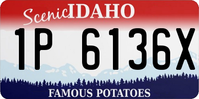ID license plate 1P6136X