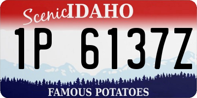 ID license plate 1P6137Z