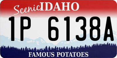 ID license plate 1P6138A