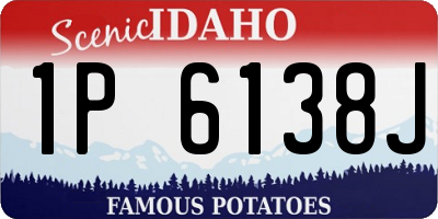 ID license plate 1P6138J