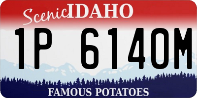 ID license plate 1P6140M