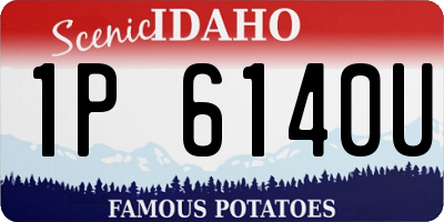 ID license plate 1P6140U