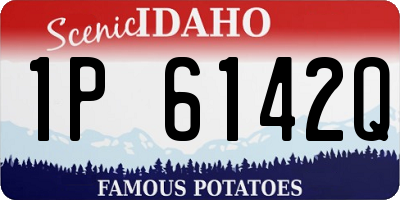ID license plate 1P6142Q